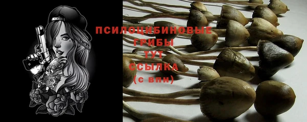спиды Белокуриха