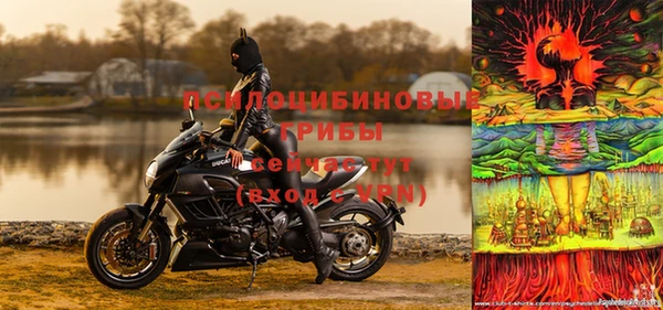 прущая мука Белоозёрский