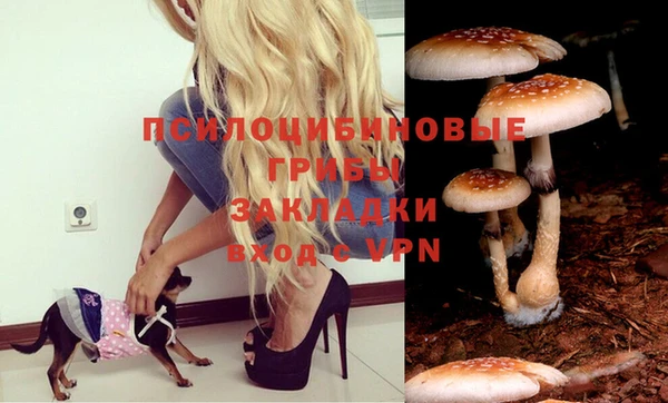 кокаин Снежногорск