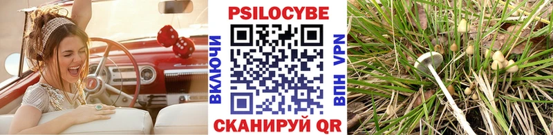 Псилоцибиновые грибы мухоморы  Малмыж 